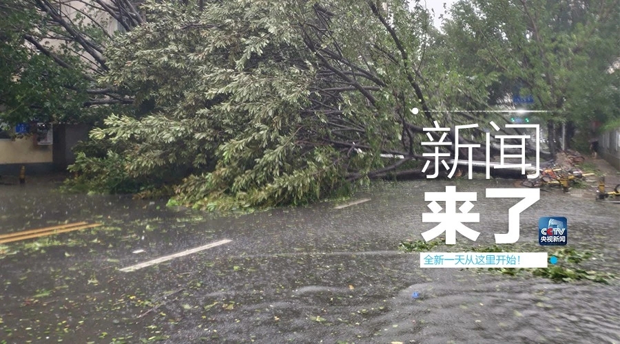 &ldquo;山竹&rdquo;怒過，高空塔吊你還好嗎？