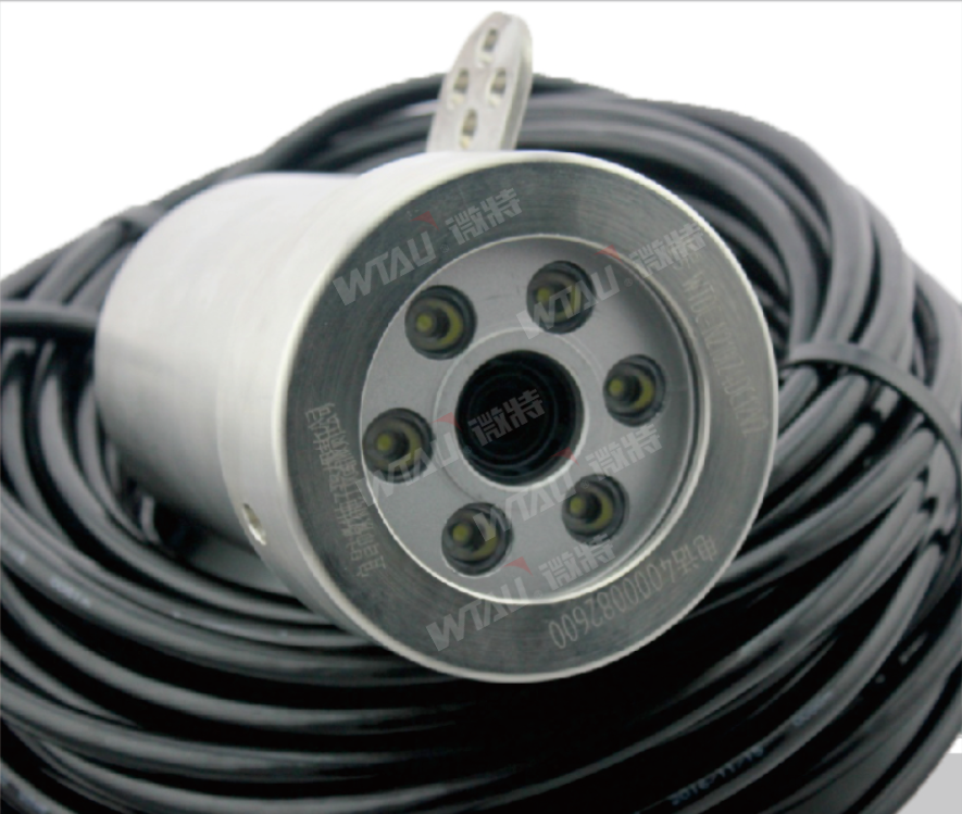 渾濁水域也能高清拍攝？揭秘微特水下攝像頭的硬核實力！